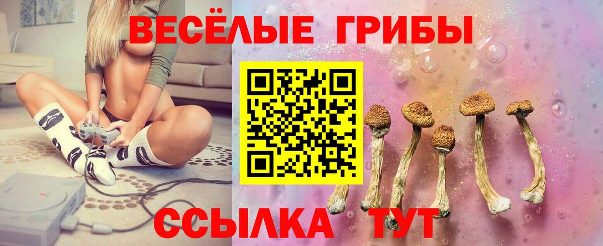 Галлюциногенные грибы Magic Shrooms  Галлюциногенные грибы Psilocybine cubensis  Вход с VPN  Щёкино 