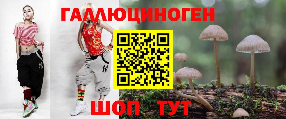 Псилоцибиновые грибы Psilocybe Щёкино