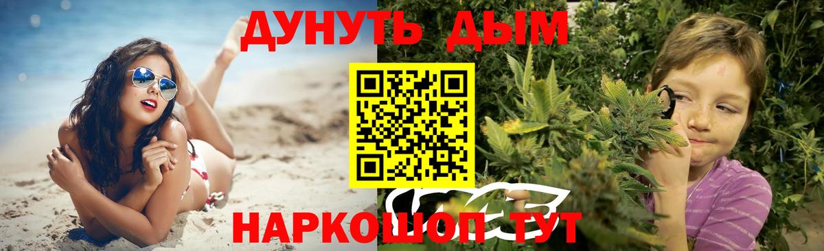 Бошки Шишки Amnesia  Вход с VPN  Щёкино  Бошки Шишки гибрид  Марихуана сатива 